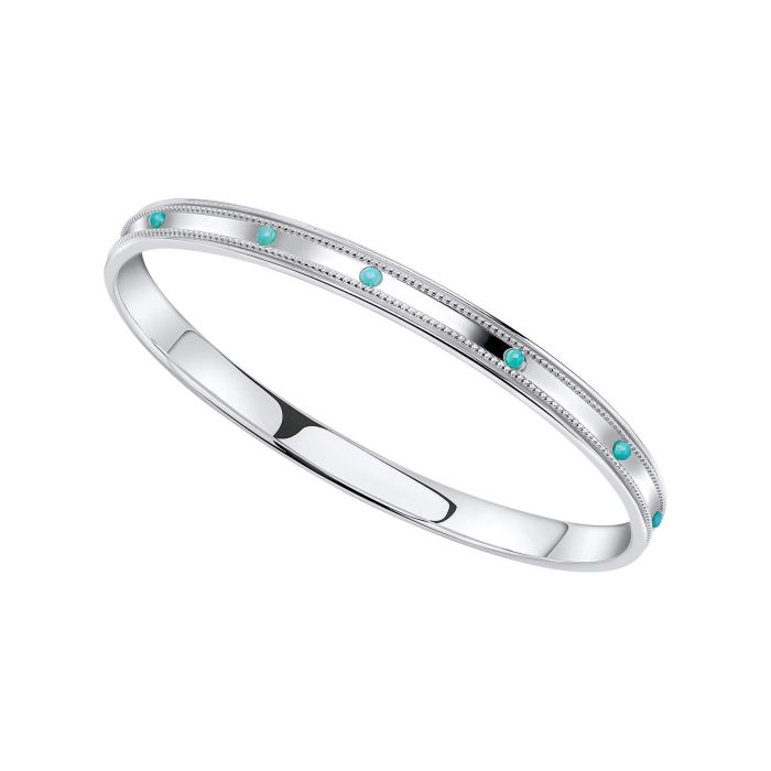 Beginnings Gecko Turquoise Spinner Sterling Silver Bangle